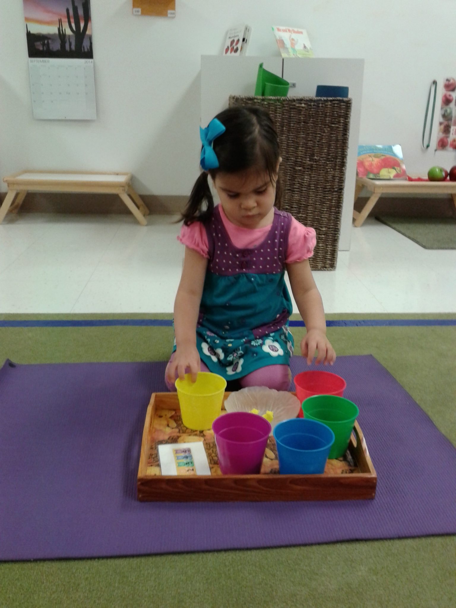 Westwood Montessori School student